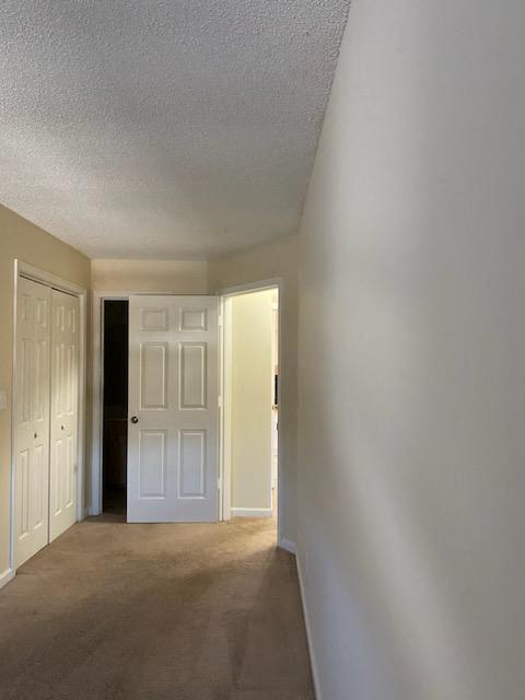 Gallery Photo 12